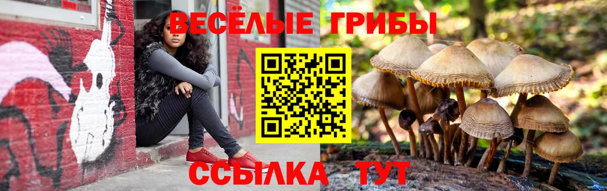 Псилоцибиновые грибы Cubensis Изобильный