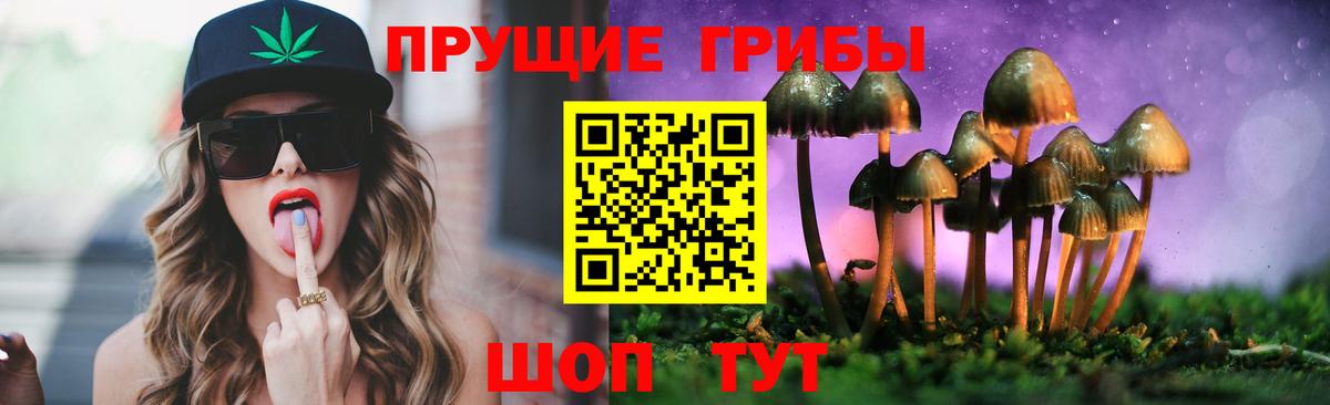 Галлюциногенные грибы Psilocybe  Вход с VPN  Изобильный  Галлюциногенные грибы прущие грибы 